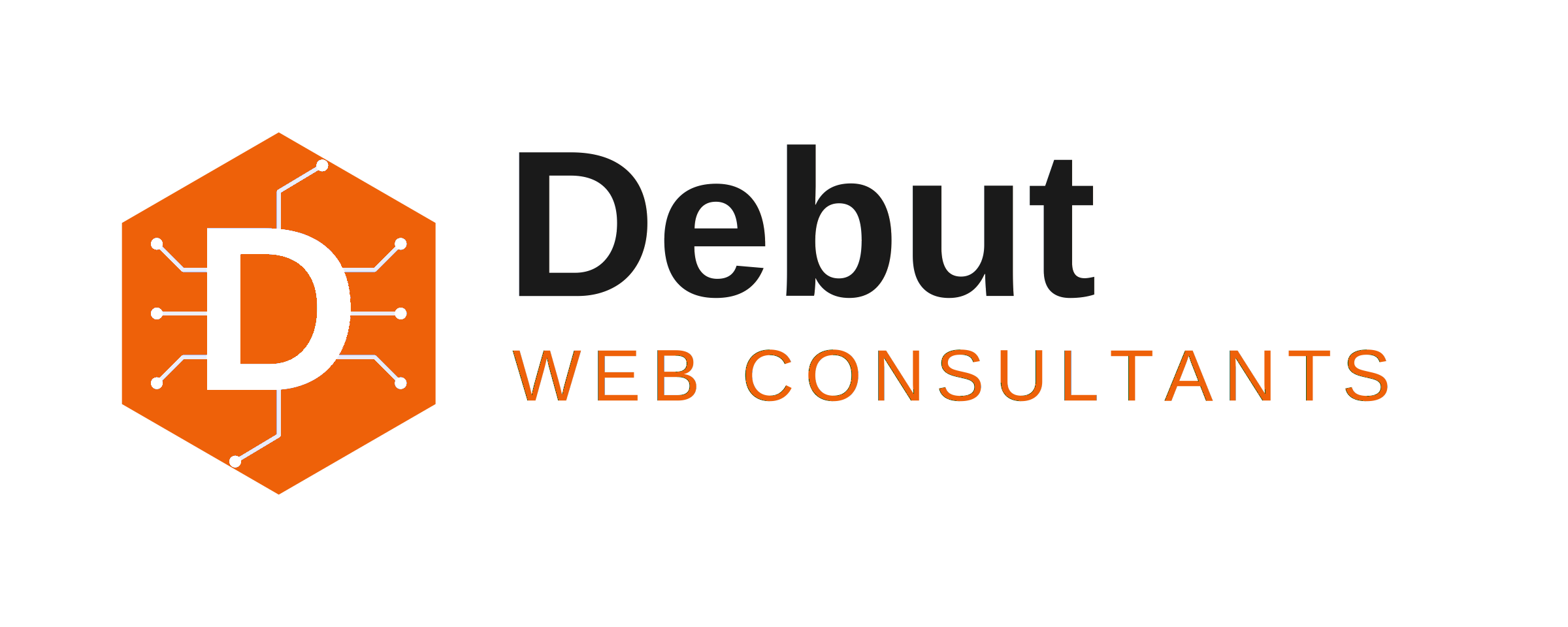 Debut Web Consultants